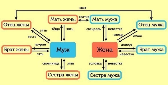 Как не запутаться в родственниках?