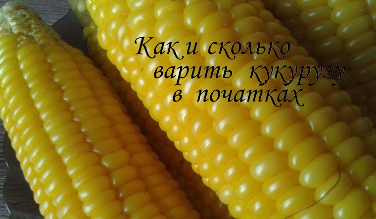Как варить кукурузу в початках? Как варить кукурузу в початках?