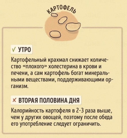 Правильное время для употребления продуктов